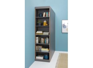 4255623605637 - Regal MÜLLER SMALL LIVING FLAI Regale grau (anthrazit mit birkenkante) Büroregal Standregal Standregale Regale