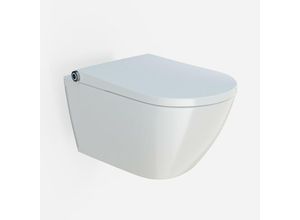 4255624407605 - BERNSTEIN DUSCH-WC PREMIUM 1102 - Smarte Technik Gesäß- und Ladydusche SoftClose-Sitz Warmlufttrockner Nachtlicht Entkalkungsfunktion