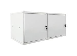 4255630597697 - Proregal-regale Günstig Kaufen - Mega Deal 2x Casier métallique verouillable cubic xl HxLxP 45x45x45cm Gris Armoire à casier cube consigne