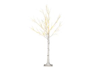 4255633537560 - Lichterbaum im Birkendesign mit 72 LED-Lichter weiß 17L x 17B x 120H cm simulation birkenbaum mit led-beleuchtung weihnachtsdeko kunstbaum