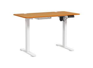 4255633545565 - Höhenverstellbarer Schreibtisch Elektrisch 120 x 60 cm Computertisch mit 3 Memory-Steuerung Ergonomisch Steh-Sitz Tisch mit Anti-Kollision