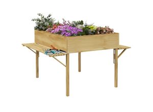 4255633552976 - Hochbeet mit Ablage natur 122L x 915B x 89H cm