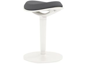 4255633566829 - Sitzhocker ergonomischer Bürohocker 565-715 cm höhenverstellbar Grau