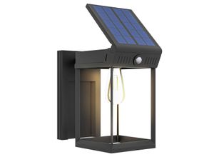 4255633568571 - Solar Wandleuchte LED Außenleuchte Gartenleuchte mit Warmweißes Licht