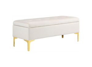 4255633572127 - Sitzbank mit Stauraum Polsterbank mit Samtoptik Metallbeine Bettbank für Wohnzimmer Schlafzimmer Flur 120 x 44 x 445 cm Beige - Beige - Homcom