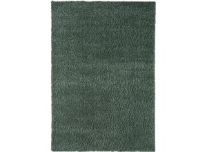 4255663122101 - Hochflor-Teppich MYFLAIR MÖBEL & ACCESSOIRES My Shaggy Teppiche Gr B L 200 cm x 290 cm 37 mm 1 St grün (hellgrün) Esszimmerteppiche Shaggy Uni-Farben leicht glänzend Microfaser extra flauschig