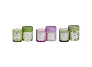 4255664834560 - Beliani - Duftkerze 3er Set Mehrfarbig Sojawachs mit Baumwolldocht im Glas in der Dose Duftnoten Weißer Tee Lavendel Jasmin Geschenkset