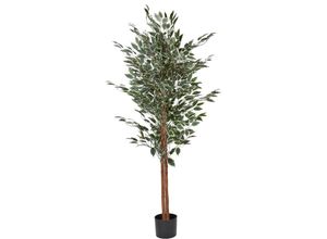 4255664873187 - Beliani - Kunstpflanze Ficus Baum Grün 167 cm im Blumentopf Künstlich Indoor Dekoration Wohnaccessoires