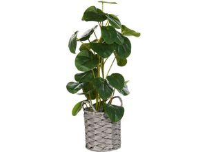 4255664897527 - Beliani - Künstliche Topfpflanze Grün   Schwarz Synthetisches Material 55 cm Pilea Pancake Pflanze Dekoratives Accessoire für Innenräume