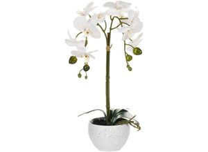 4255664897541 - Beliani - Kunstpflanze Orchidee Weiß u Grün 42 cm im Blumentopf Künstlich Indoor Dekoration Wohnaccessoires