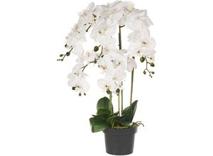 4255664897558 - Beliani - Kunstpflanze Orchidee Weiß u Grün 63 cm im Blumentopf Künstlich Indoor Dekoration Wohnaccessoires