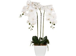 4255664897572 - Künstliche Topfpflanze Weißes und grünes Kunststoffmaterial 59 cm Orchidea Pflanze Dekoratives Accessoire für Innenräume