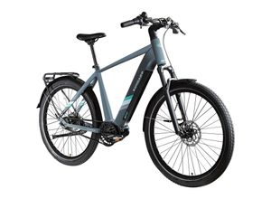 4255676606193 - X850 Trekking E Bike 28 Zoll Pedelec 165-185 cm Trekking Fahrrad Riemenantrieb Elektrofahrrad 550Wh 7 Gang basaltgrau