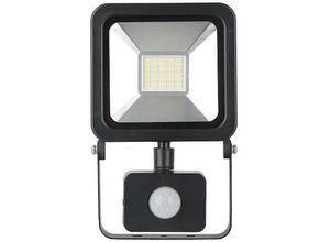 4255681519631 - PROREGAL Reflektor Flutlicht LED AG-HFLAL20W-P 20W 1600 LM IP44 Sensor