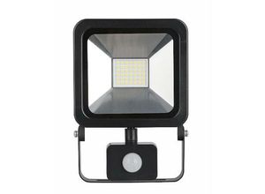 4255681519648 - PROREGAL Reflektor Flutlicht LED AG-HFLAL30W-P 30W 2400 LM IP44 Sensor