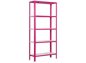 4255681533743 - Proregal-zertifizierte Qualitätsprodukte - proregal Wohnregal living koala metal mit 5 Fachböden HxBxT 180x80x30cm Fachlast 150kg Rosa Weiß - Pink