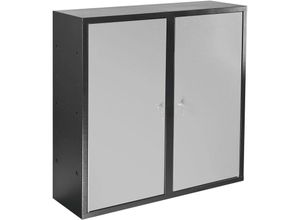 4255681536836 - Proregal-betriebsausstattung Zum Fairen Preis - Werkzeugwandschrank mit 2 Türen + 4 Fachboden HxBxT 100x100x30cm Anthrazitgrau Lichtgrau - Anthrazit