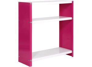 4255681542042 - Proregal-zertifizierte Qualitätsprodukte - proregal Wohnregal living luchs metal mit 3 Fachböden HxBxT 90x60x30cm Fachlast 100kg Rosa Weiß - Pink