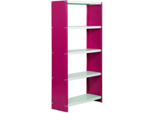 4255681542066 - Proregal-zertifizierte Qualitätsprodukte - proregal Wohnregal living luchs metal mit 5 Fachböden HxBxT 160x60x30cm Fachlast 100kg Rosa Weiß - Pink