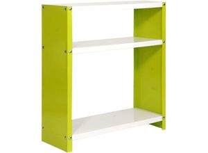 4255681542097 - Proregal-zertifizierte Qualitätsprodukte - proregal Wohnregal living luchs metal mit 3 Fachböden HxBxT 90x80x30cm Fachlast 100kg Grün Weiß - Grün