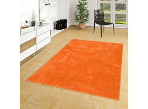 4255686711368 - - Luxus Super Soft Hochflor Langflor Teppich Melia Orange - 120x170 cm