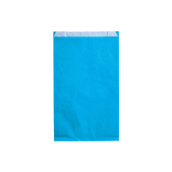 4255704305104 - Faltenbeutel Kraftpapier 50g aquamarin 150x210x40mm 4255704305104 1FFFB018015 100 Stück