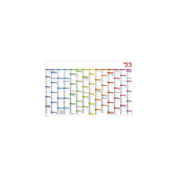 4255704306903 - Plakatkalender BCO14 Data 14 Monate   1 Seite 106x666cm 2025 4255704306903 Bühner