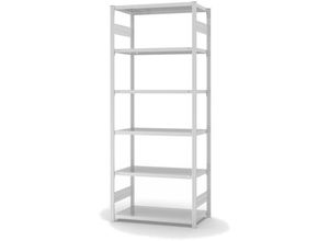 4255713435915 - Proregal-qualitätsregale Made In Germany - Fachbodenregal Stecksystem T-Profil Grundregal HxBxT 250x100x50cm 6 Ebenen Fachlast 140 kg Beidseitig