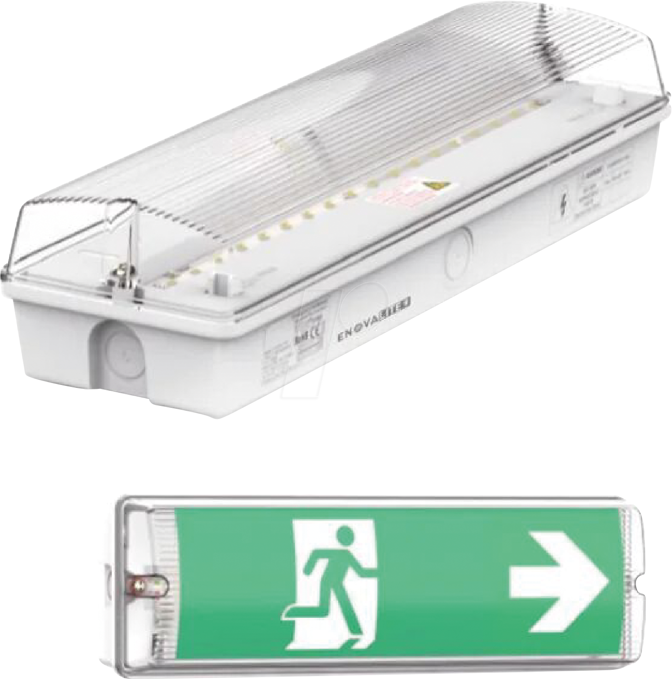 4255719606258 - ELED 200100-8H - LED-Fluchtwegleuchte Notlicht Wandmontage IP65 4255719606258 - ELED 200100-8H - LED-Fluchtwegleuchte Notlicht Wandmontage IP65