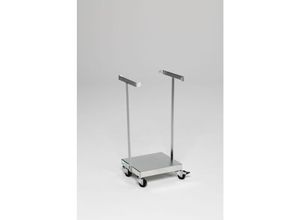 4255750487755 - PROREGAL Kompakter Abfallsammler mit 2 Stäben Fahrbar mit Rollen 60 Liter HxBxT 665x33x29cm Stahl Grau