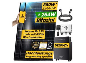 4255813314868 - Epp Balkonkraftwerk mit Speicher 5 kWh 880W Solarmodul Ape 800W Wechselrichter