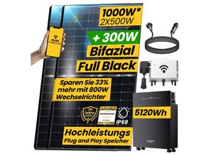 4255813314929 - Epp Balkonkraftwerk mit Speicher 5 kWh 1000W Solarmodul Ape 800W Wechselrichter