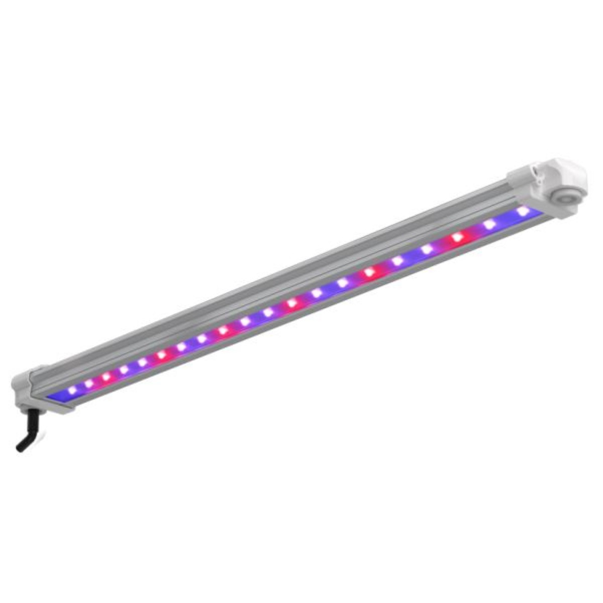 4260011575058 - LUMii Black LED Bar 30 Watt UV   Far-Red