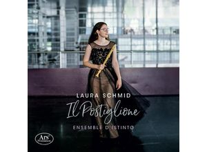 4260052385616 - Il Postiglione-Sonaten Für Blockflöte - Laura Schmid Ensemble DIstinto (CD)