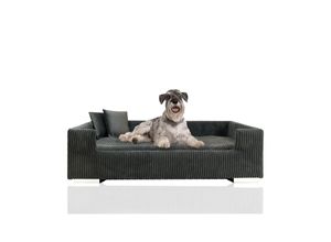 4260056112577 - Hundesofa gepolstert Cord breit beige