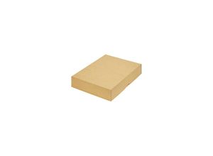 4260069660584 - Stülpdeckelkarton zweiteilig Innenmaße 302 x 213 x 55 mm A4 braun ab 300 Stk