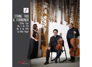 4260123643232 - Reger String TriosOp77b & Op141b - Il Furibondo (CD)