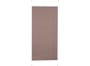 4260130363383 - Plissee K-HOME Klemmfix Pisa Gr 2 braun (latte) B50cm H130cm Obermaterial 100% Polyester Plissees