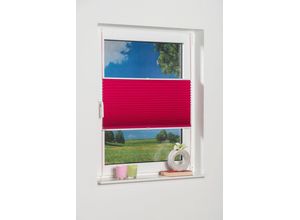 4260130363840 - K-HOME Plissee »Klemmfix Pisa« verdunkelnd energiesparend ohne Bohren verspannt