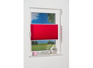 4260130365264 - K-HOME Plissee »Klemmfix Pisa« Lichtschutz ohne Bohren verspannt Crushed-Optik