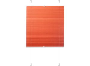 4260130365653 - K-HOME Plissee »Siena« verdunkelnd energiesparend ohne Bohren