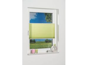 4260130365707 - K-HOME Plissee »Klemmfix Pisa« Lichtschutz ohne Bohren verspannt Crushed-Optik