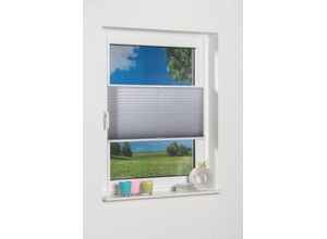 4260130366476 - K-HOME Plissee »Klemmfix Pisa« Lichtschutz ohne Bohren verspannt Crushed-Optik