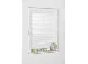 4260130367633 - K-HOME Plissee »COMO« Lichtschutz freihängend