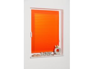 4260130367695 - K-HOME Plissee »COMO« Lichtschutz freihängend