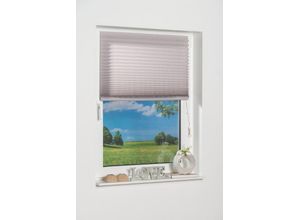 4260130367800 - K-HOME Plissee »COMO« Lichtschutz freihängend