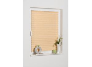4260130368029 - K-HOME Plissee »LUCERA« Lichtschutz ohne Bohren verspannt BAMBUS-Plissee