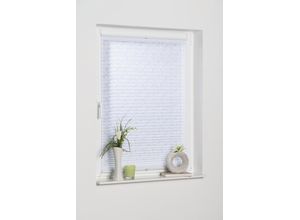 4260130369897 - K-HOME Plissee »Capri« Lichtschutz ohne Bohren Ausbrennerstoff