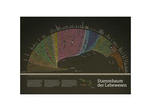 4260179090196 - Stammbaum der Lebewesen (Poster)