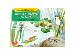 4260179515736 - Sachwissen für das Kamishibai   Tiere und Pflanzen am Teich Kamishibai Bildkartenset - Katharina Stöckl-Bauer Box